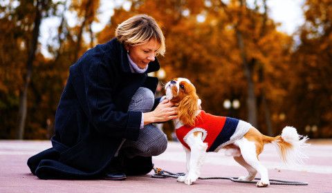 How to Prepare Your Pet for Colder Months: Fall Care Tips