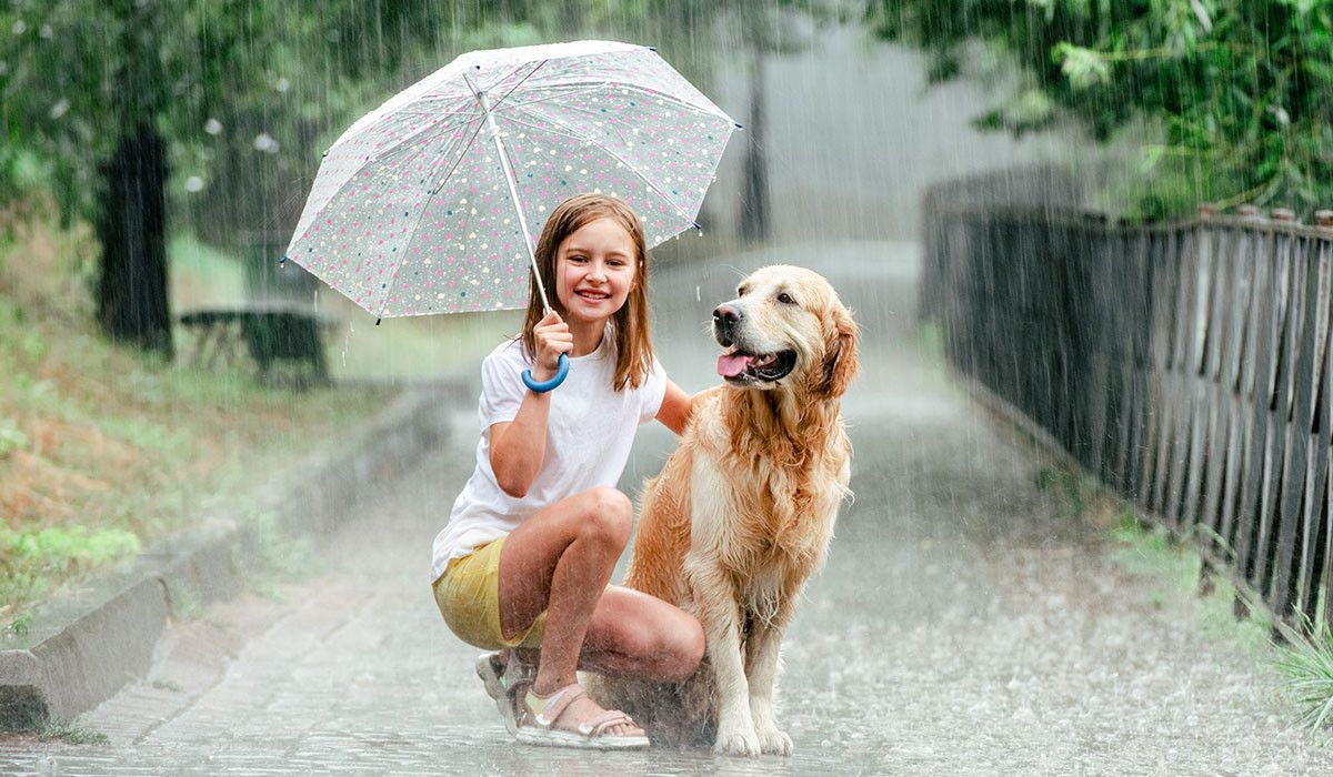 girl-with-golden-retriever-dog-at-rain-sitting-with-umbrella