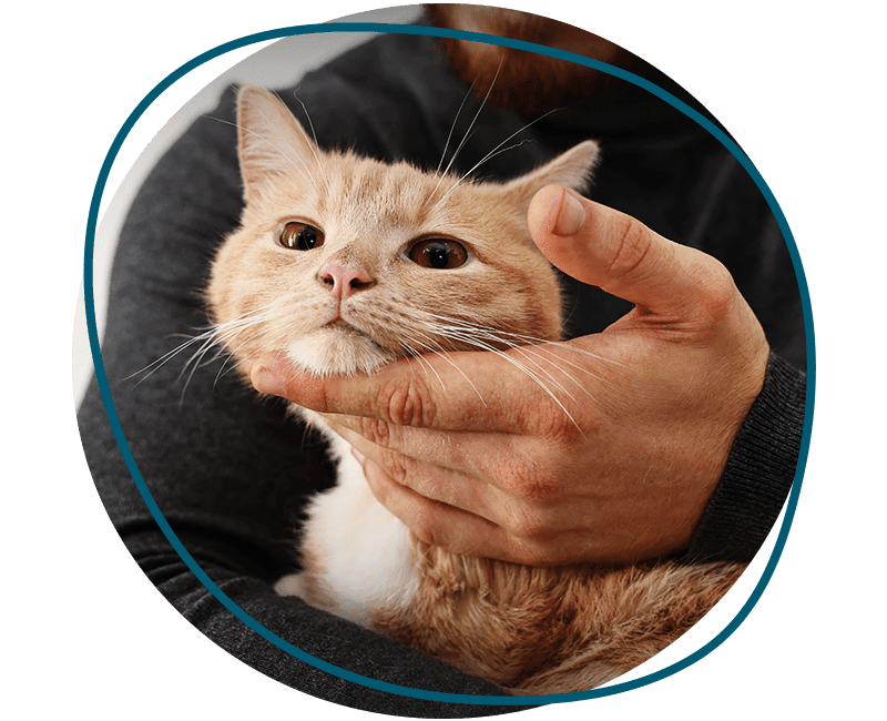man with cute cat
