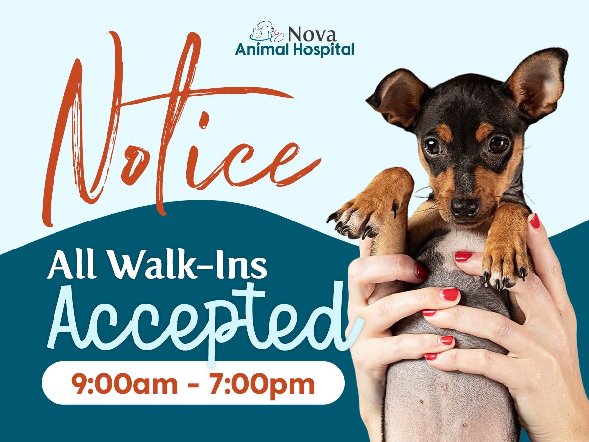 All Walk-Ins accepted 9 am-7 pm